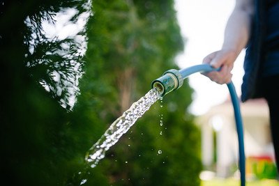 A close-up of a man watering the grass.