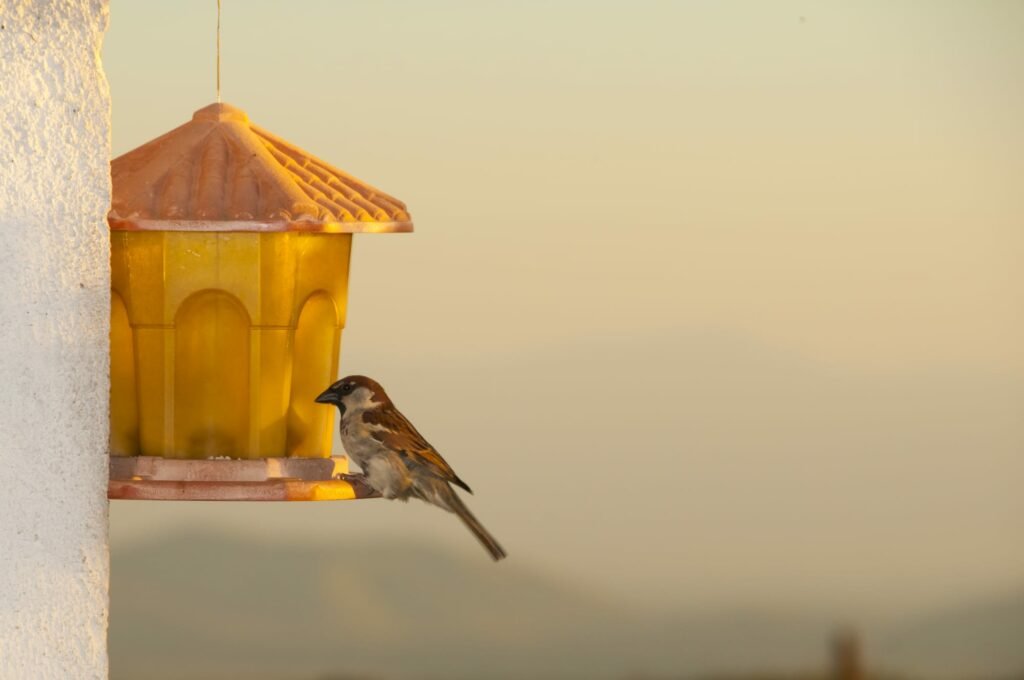best bird tables