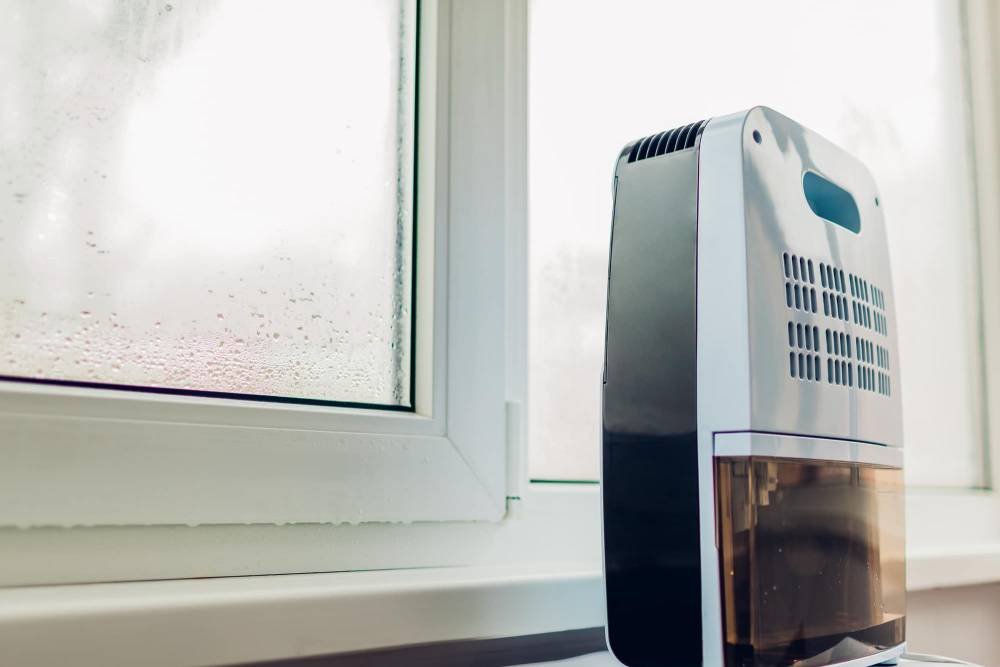 best desiccant dehumidifier