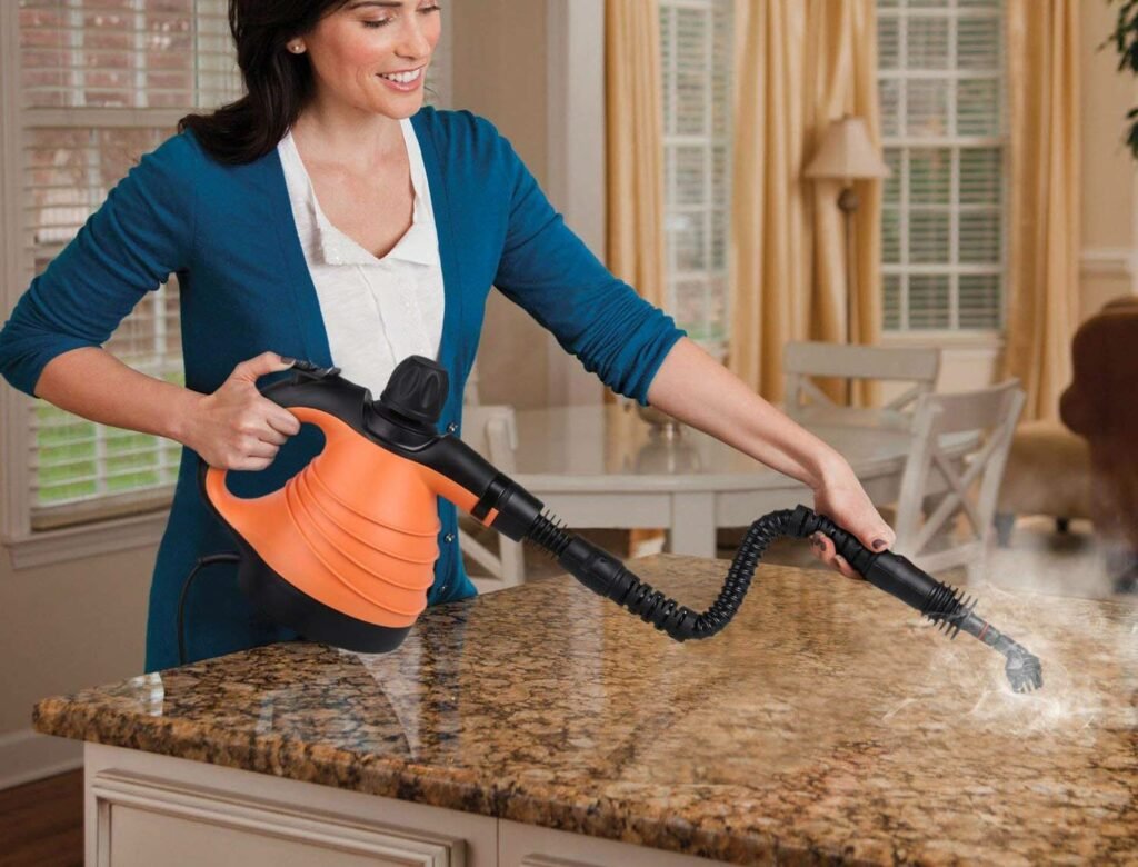 best handheld steam cleaner