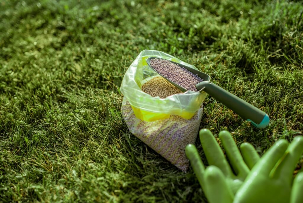 best lawn feed