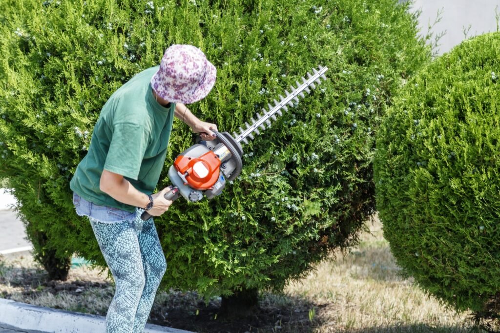 best petrol hedge trimmer
