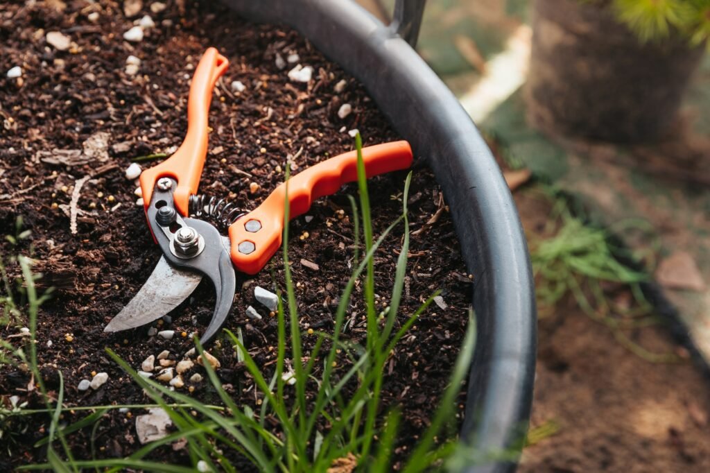 best secateurs