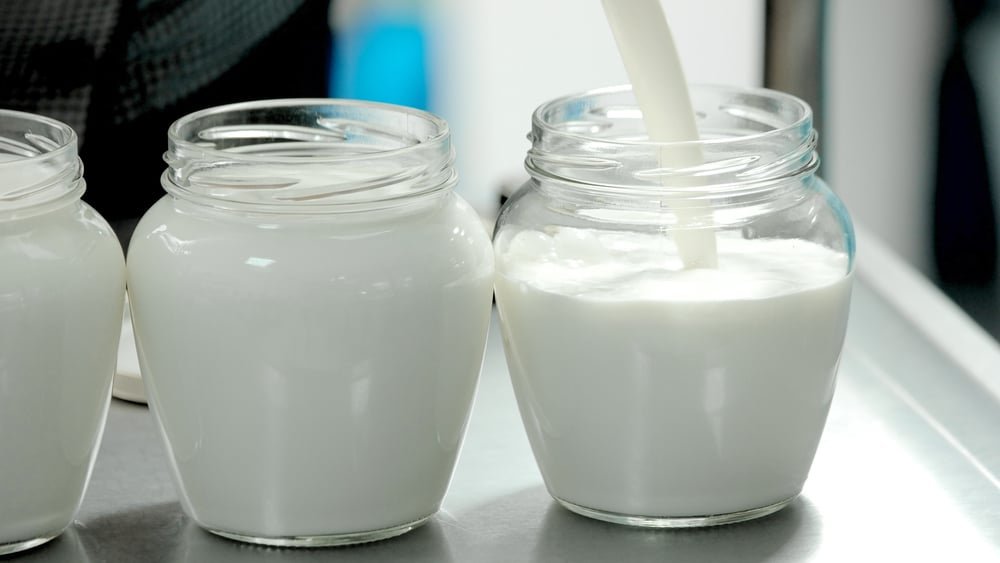 how to make yoghurt without a yoghurt maker