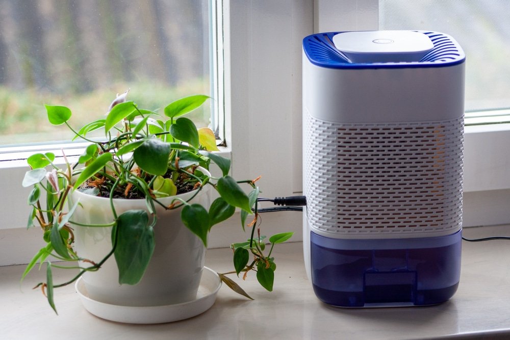 how does a dehumidifier work