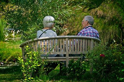 An elderly couple in their backyard