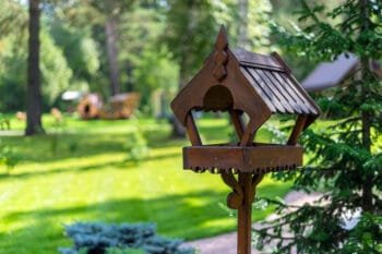 a bird feeder in the garden