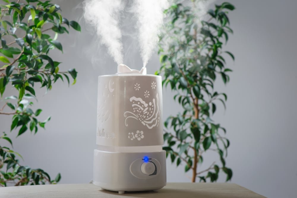 how to clean a humidifier
