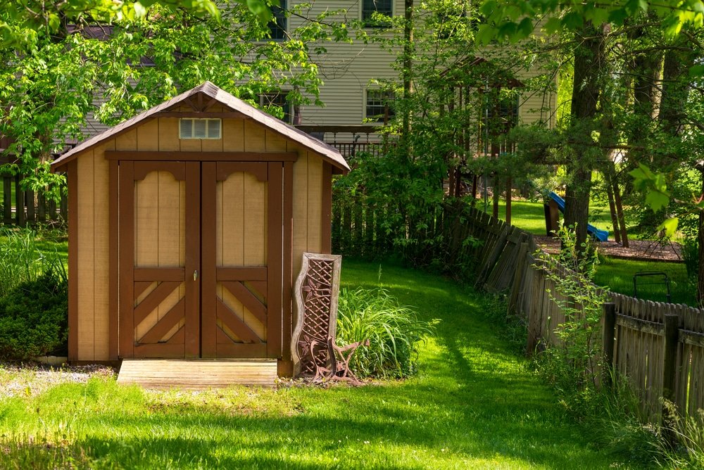 how to get rid of rats in a garden shed