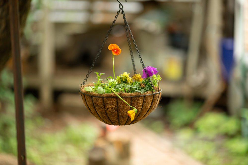 how to make hanging planters
