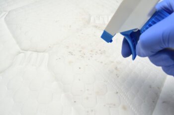 removing a stain using a liquid solution