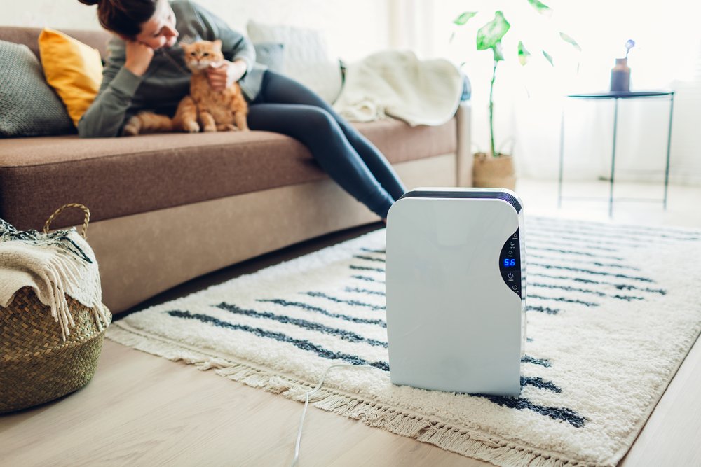 Best Dehumidifiers