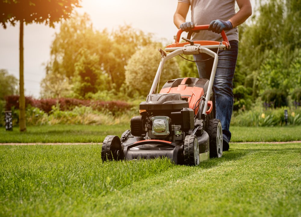 Best Lawnmowers