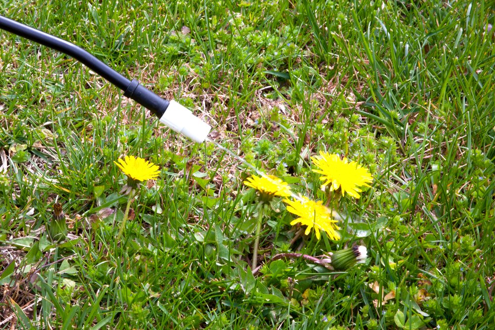 best weed killers