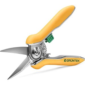 Colibri Pruner