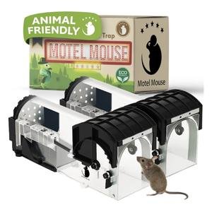 Motel Mouse Humane