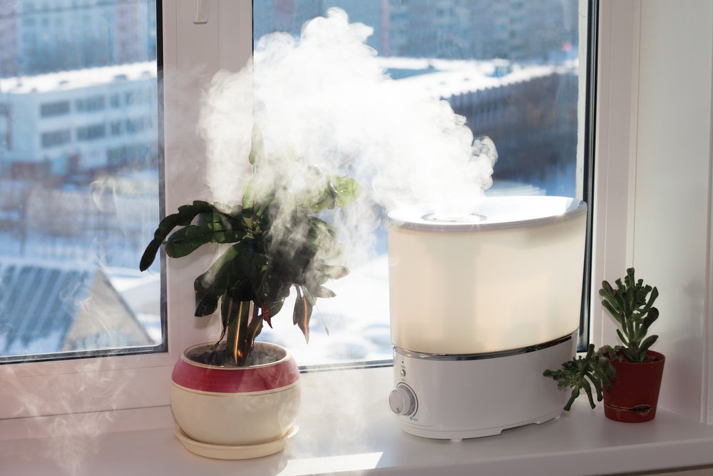 best humidifiers