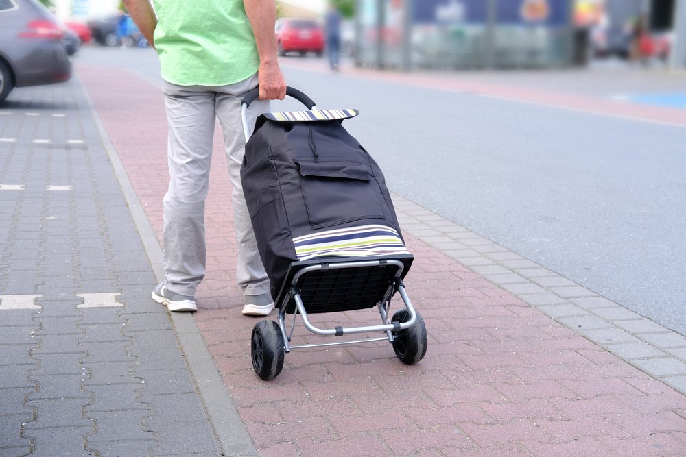 best shopping trolleys