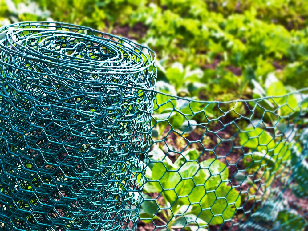 Best Chicken Wire