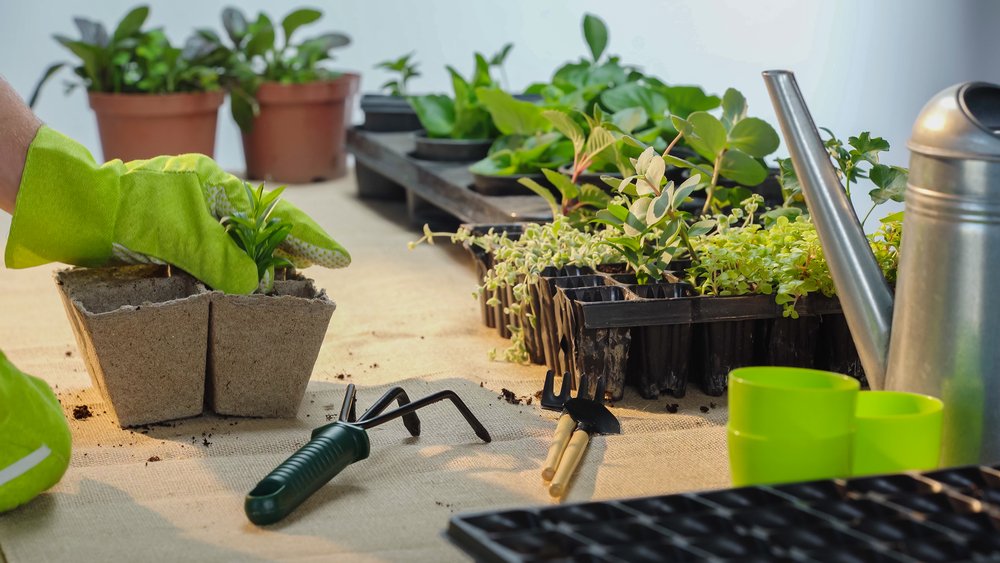 Best Garden Tools