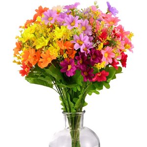 CHBOP Variety