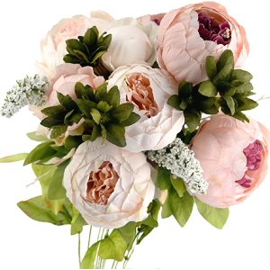 FiveSeasonStuff Peony