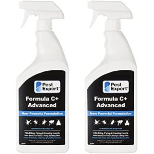 Pest Expert Carpet 