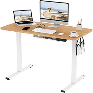 FLEXISPOT Electric Height