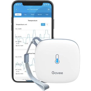 Govee WiFi