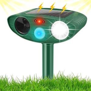 SPLENDIDII Solar Animal