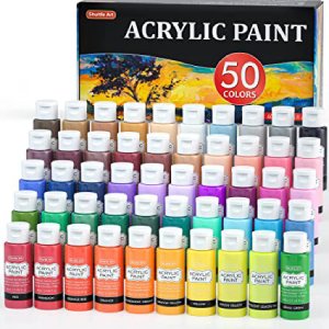 Shuttle Art Acrylic Paint Set