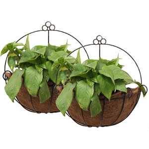 Tosnail 2 Pack