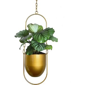 VDYXEW Boho Modern