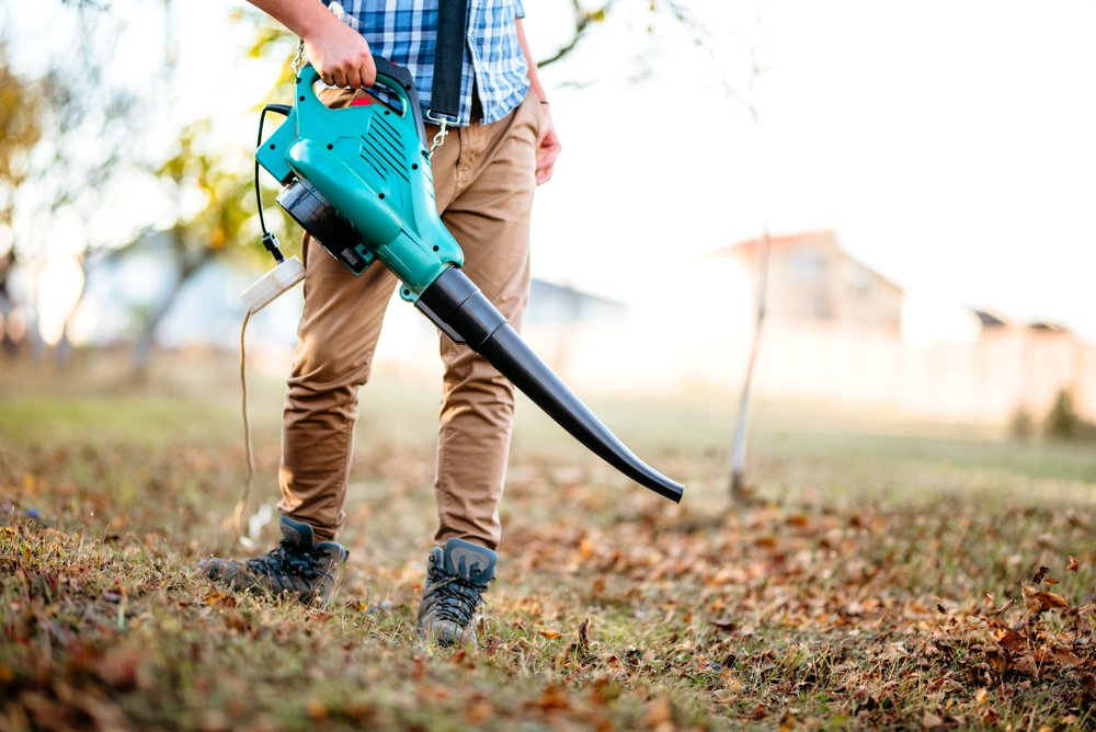 Best Leaf Blowers