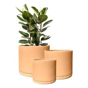 Olly & Rose Ceramic