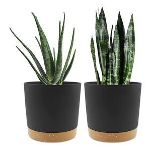 QCQHDU Set of 2