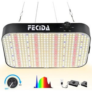 FECiDA 600W