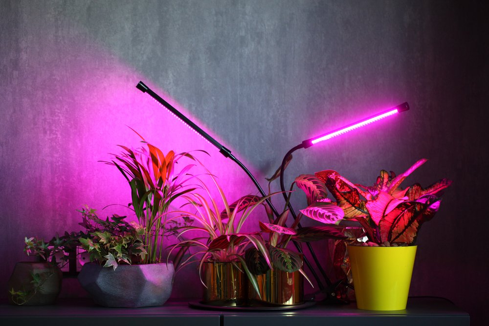 best grow lights